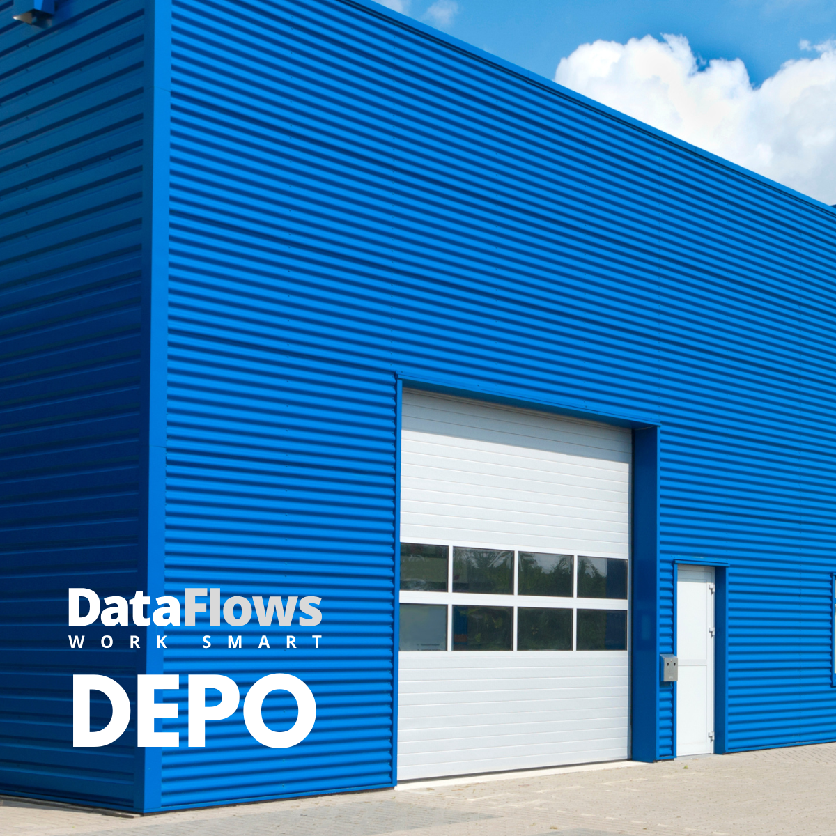 DataFlows Depo